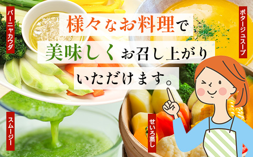 よくばり新鮮お野菜セット 12品目以上 NI-6｜ 旬 野菜 やさい 果物 くだもの 産地直送 農産物 冷蔵 鹿児島県 南大隅町産 詰合せ おまかせ 家庭用 なんたん市場