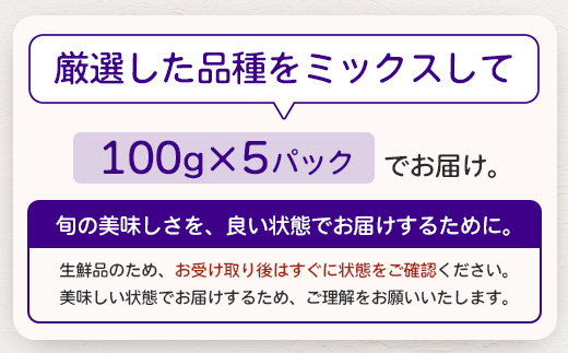 【期間限定】南大隅産 (生)ブルーベリー 品種ミックス詰め合わせ ≪100g×5P≫ BB-1 ｜ 鹿児島県 南大隅町 旬 産地直送 果物 ブルーベリー フルーツ くだもの 新鮮 農園 冷蔵 本土最南端