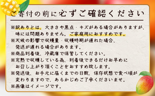 【先行予約】訳あり ☆本土最南端☆佐多の果樹園で育てた 完熟アップルマンゴー1kg (2〜3玉) 家庭用
