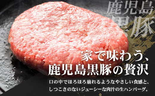 [冷凍 ]鹿児島県産 黒豚生ハンバーグセット（8個入）NS-12 ❘ 肉 お肉 豚肉 豚 にく ぶた かごしま黒豚 ハンバーグ おかず ジューシー 小分け ギフト おかず お弁当 国産 鹿児島県 南大隅町 南州農場
