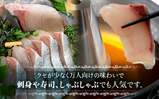 【ねじめ黄金カンパチ】ロイン2本