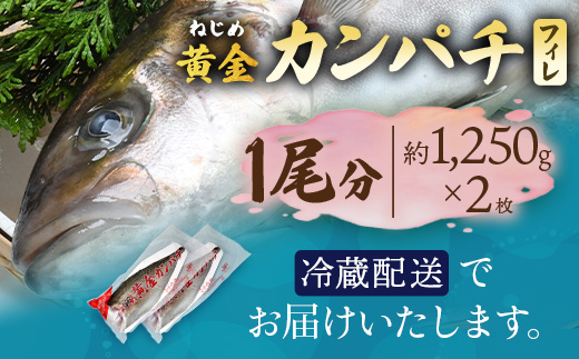 【ねじめ黄金カンパチ】フィレ2枚