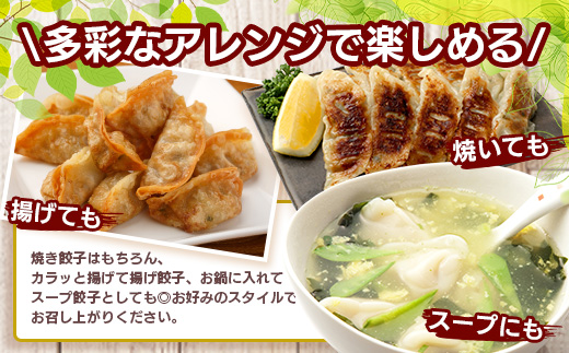 花の木農場【ニラ餃子】50個（HK-502）