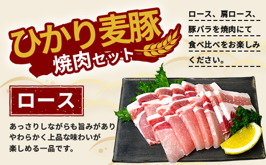 鹿児島県産 ひかり麦豚 焼肉 食べ比べ セット 600g（300g×2パック）＋ 楽塩の粗びき塩こしょう | 肉 お肉 にく 豚肉 黒豚 かごしま黒豚 ロース 肩ロース バラ肉 スライス 粗挽き 塩コショウ 冷凍 真空冷凍 産地直送 新鮮 小分け 甘み 鹿児島県 南大隅町 ひかり麦豚直売所 HM-703