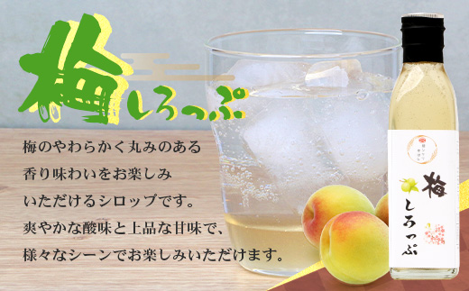 【先行予約・数量限定】日本料理人が作る シロップ 3種類 Bセット/辺塚だいだいシロップ・梅シロップ・生姜シロップ (各240ｇ×1瓶) GN-15｜鹿児島県 南大隅町 果物 うめ ショウガ しょうが フルーツ シロップ 希釈 甘み 酸味 甘さ控えめ お菓子づくり 手づくり 新鮮 旬  銀シャリ中はら