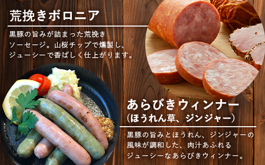 鹿児島県産 BBQ-BOX Ⅱ ハム ソーセージ ベーコン 詰め合わせ セット NS-25| かごしま 黒豚 生ハム ボロニア ウインナー ソース ジャーキー おつまみ バーベキュー 焼き肉 肉 肉汁 香ばしい 低添加製法 冷凍 鹿児島県 南大隅町 南州農場