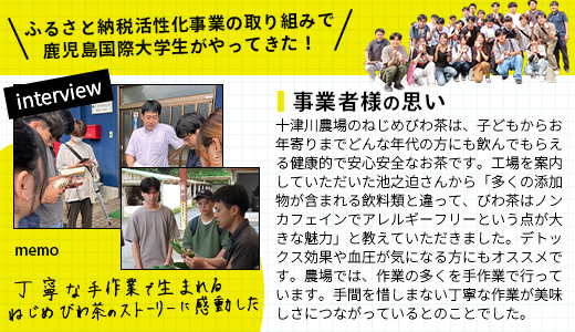 【定期便 12ヶ月全6回】 鹿児島県産 ねじめびわ茶 ボトル缶 12ケース ≪ 1回あたり48本 (24本入り×2箱) ≫ 2か月おきにお届け ノンカフェイン E7525 | 国産 お茶 健康茶 カロリーゼロ 無香料 無着色 ポリフェノール さわやか 甘み 香ばしい おいしい びわの葉 産地直送 鹿児島県 南大隅町 十津川農場