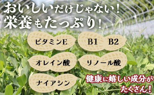 先行予約【2025年9月下旬より順次発送】国産 塩茹で落花生 300 g × 1 パック