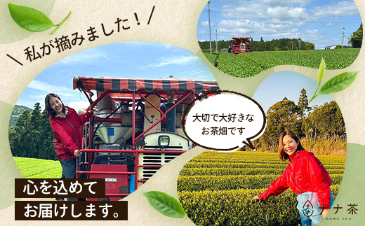 国産 自然栽培 ナナ茶 さえみどり ティーバッグ （2g×15包）×2パック RS-5｜お茶 茶 茶葉 お茶の葉 日本茶 鹿児島茶 おしゃれ ブレンド茶 ケルセチン 無農薬 化学肥料不使用 ティーパック 鹿児島県 南大隅町 株式会社Re-Shine