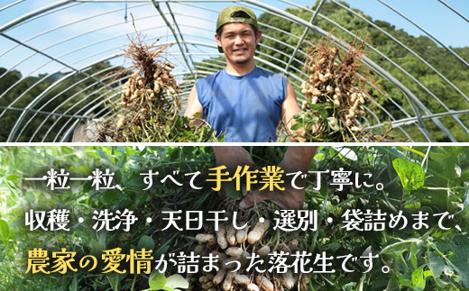 ≪数量限定≫鹿児島県産　食べ応え抜群の大粒落花生「おおまさり」５００g袋×２袋