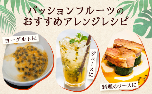 【2026年・先行予約】【訳あり品】家庭用パッションフルーツ1kg （約11～12個）濱田農園  ｜先行予約 産地直送 新鮮 パッション フルーツ 南大隅町 果物 果実 プレゼント濱田農園 家庭用 人気 南国フルーツ  HB-707