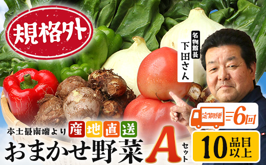 【定期便全6回】【規格外】本土最南端から 旬のおまかせ野菜セットA 10品目以上 NI-5 ｜ 旬 野菜 やさい 果物 くだもの 産地直送 農産物 冷蔵 鹿児島県 南大隅町産 詰合せ おまかせ 家庭用 訳あり なんたん市場
