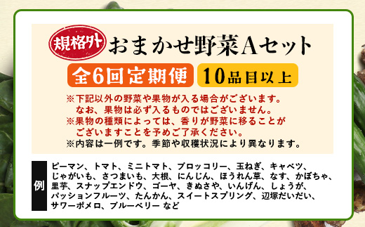 【定期便全6回】【規格外】本土最南端から 旬のおまかせ野菜セットA 10品目以上 NI-5 ｜ 旬 野菜 やさい 果物 くだもの 産地直送 農産物 冷蔵 鹿児島県 南大隅町産 詰合せ おまかせ 家庭用 訳あり なんたん市場