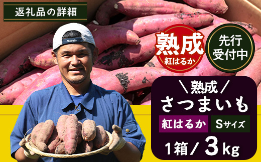 先行予約【2025年11月下旬より順次発送】【鹿児島県産】 熟成 紅はるか 3kg (1箱 ) Sサイズ さつまいも（AX72211）