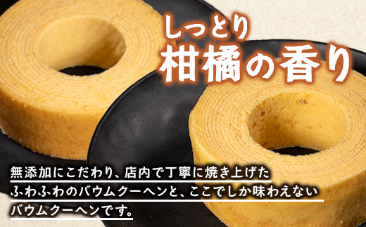 素材にこだわった南大隅町の手作りスイーツ　バウムクーヘン 2個セット ( プレーン ・ 辺塚だいだい)