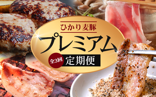 【定期便全3回】ひかり麦豚 プレミアム定期便 ≪月替わりでしゃぶしゃぶ・焼肉・ハンバーグをお届け！≫ 冷凍 HM-11 | 精肉 お惣菜 肉 お肉 にく 豚肉 焼き肉 バーベキュー ロース肉 肩ロース バラ肉  真空冷凍 産地直送 小分け パック 手作り 鹿児島県 南大隅町 ひかり麦豚直売所