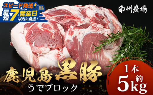 【スピード発送】【南大隅町限定】かごしま黒豚 うでブロック（約5.0kg） NS-4 |最短 7日以内 1週間以内  肉 豚肉 ぶた 豚 ブタ 黒豚 かごしま黒豚 うで ブロック 新鮮 産地直送 限定 鹿児島県 南大隅町 南州農場