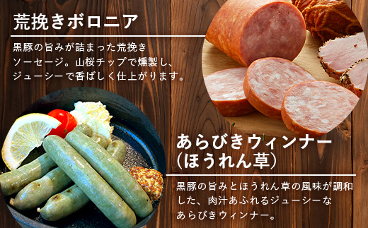 鹿児島県産 BBQ-BOXⅠ ハム ソーセージ ベーコン 詰め合わせ セット NS-24 | かごしま 黒豚 生ハム ボロニア ウインナー ソース ジャーキー おつまみ バーベキュー 焼き肉 肉 肉汁 香ばしい 低添加製法 冷凍 鹿児島県 南大隅町 南州農場