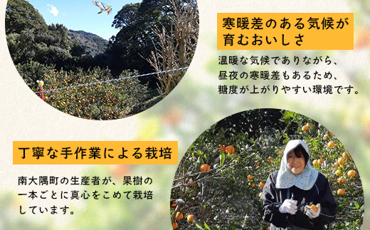 【数量限定】鹿児島県南大隅産スイートスプリング 5kg 【2025年12月下旬より順次発送】｜柑橘 くだもの 果物 フルーツ スイートスプリング 食品 人気 おすすめ 南大隅 新鮮 産地直送 爽やか 数量限定（AL7510）