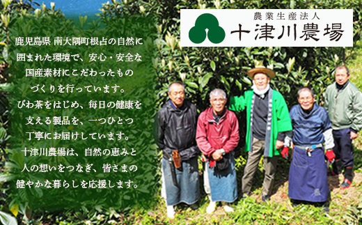 伝承びわ茶 ブレンドティー  (2.6g×5包入)×2パック　計10包入 | 国産 びわ茶 甘茶 シナモン ガジュツ ハーブティー ティーバック 焙煎 紅茶 香ばしい スパイシー おいしい びわの葉 産地直送 鹿児島県 南大隅町 十津川農場　TO-16-NP