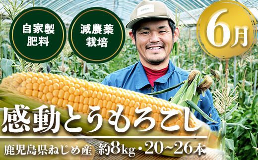 【定期便・年4回】農家の感動シリーズB (約16.4kg) FR-2｜冷凍焼き芋 ゴールドラッシュ とうもろこし 塩茹で 落花生 ピーナッツ 芋 さつまいも 紅はるか 野菜定期便 旬 産地直送 サラダ 南大隅町