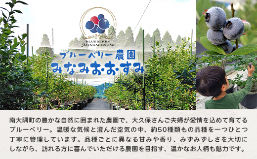 【期間限定】南大隅産 (生)ブルーベリー 品種ミックス詰め合わせ ≪100g×5P≫ BB-1 ｜ 鹿児島県 南大隅町 旬 産地直送 果物 ブルーベリー フルーツ くだもの 新鮮 農園 冷蔵 本土最南端