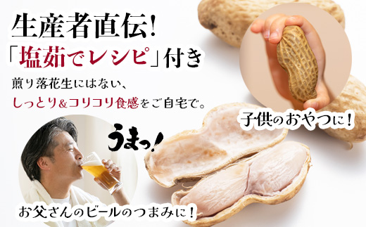 ≪数量限定≫鹿児島県産　食べ応え抜群の大粒落花生「おおまさり」５００g袋×２袋
