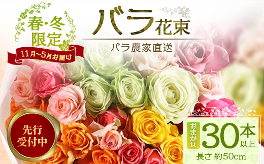 ※先行予約※【日付指定必須・ギフト対応可】ばら農家直送！人気の春・冬薔薇をお届け♪ バラ花束30本以上(色はおまかせ) TB-16 │ ローズ 新鮮 花 フラワー 花束 ばら 薔薇 バラ 誕生日 記念日 結婚祝い ギフト プレゼント お祝い 贈り物 贈答 鹿児島県 南大隅町 富田バラ園