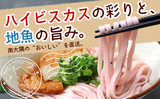 本土最南端　ハイビスカスローゼルうどん（5袋）と地魚のさつまあげ（5枚×2袋）セット