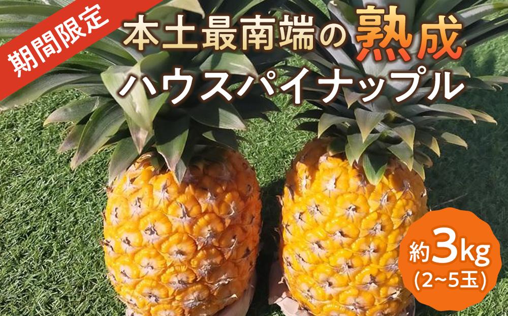 【期間限定】数量限定！本土最南端の熟成ハウスパイナップル　品種おまかせ3kg（2〜5玉）セット