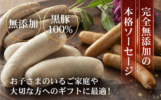 鹿児島県産 ノン・アッドソーセージ詰合せA (合計約600g) NS-8 | 肉 お肉 豚肉 ぶた 豚 ブタ 黒豚 ソーセージ おかず おつまみ 国産 冷凍 ギフト 鹿児島県 南大隅町 南州農場