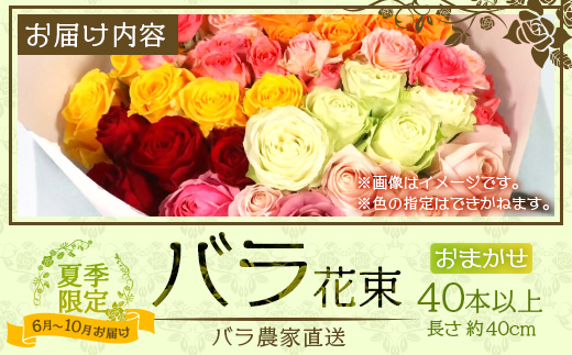 【日付指定必須・ギフト対応可】 夏季限定 ばら農家直送！バラ花束40本以上お届け(色はおまかせ) TB-8│ローズ 新鮮 花 フラワー 花束 ばら 薔薇 バラ 誕生日 記念日 結婚祝い ギフト プレゼント お祝い 贈り物 贈答 鹿児島県 南大隅町 富田バラ園