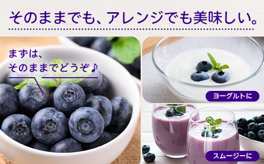 【期間限定】南大隅産 (生)ブルーベリー / 食べ比べセット (5品種) ≪100g×5P≫ BB-2｜鹿児島県 南大隅町 旬 産地直送 果物 ブルーベリー フルーツ くだもの 新鮮 農園 冷蔵 本土最南端