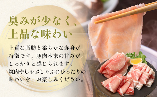 【全６回定期便】厳選！花の木農場スペシャル定期便 HK-27│定期便 ハム ベーコン クラフトハム 人気 豚肉 しゃぶしゃぶ 豚しゃぶ スライス バラ ロース モモ 鍋 惣菜 おかず お弁当 肉 国産 ノウフク 農福連携 鹿児島県 南大隅町 第2花の木ファーム