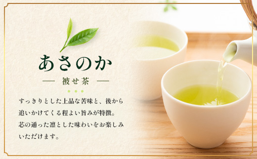 【至福のひとときを贈る】ナナ茶　極上！新茶飲み比べ３種セット RS-14｜高級緑茶 被せ茶 玉露仕立て 鹿児島茶 茶 茶 茶葉 お茶の葉 日本茶 鹿児島茶 茶葉 無農薬 化学肥料不使用 シングルオリジン ブレンド茶 ケルセチン ティーパック おしゃれ ギフト 贈答 プレゼント 特別 ティーバッグ 鹿児島県 南大隅町 株式会社Re-Shine