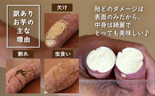 [訳あり！]先行予約【2025年11月下旬より順次発送】熟成 紅はるか 5kg (1箱 ) さつまいも 鹿児島県産
