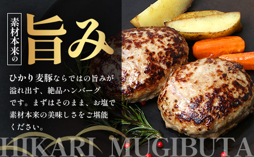 鹿児島県産 ひかり麦豚 手捏ねハンバーグ セット サイズ違い 大中小 計22個 | 肉 お肉 にく 豚肉 黒豚 かごしま黒豚 手ごね 絶品 ハンバーグ 添加物不使用 肉汁 ジューシー おかず お弁当 ロコモコ 冷凍 産地直送 小分け 甘み 鹿児島県 南大隅町 ひかり麦豚直売所 HM-705