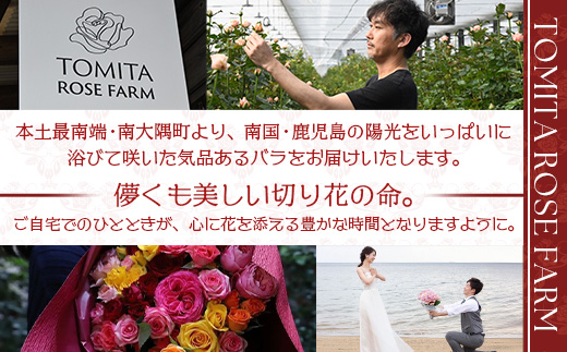 【日付指定必須・ギフト対応可】 夏季限定 ばら農家直送！バラ花束40本以上お届け(色はおまかせ) TB-8│ローズ 新鮮 花 フラワー 花束 ばら 薔薇 バラ 誕生日 記念日 結婚祝い ギフト プレゼント お祝い 贈り物 贈答 鹿児島県 南大隅町 富田バラ園