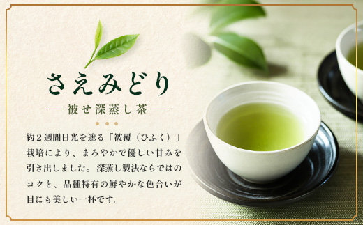 【至福のひとときを贈る】ナナ茶　極上！新茶飲み比べ３種セット RS-14｜高級緑茶 被せ茶 玉露仕立て 鹿児島茶 茶 茶 茶葉 お茶の葉 日本茶 鹿児島茶 茶葉 無農薬 化学肥料不使用 シングルオリジン ブレンド茶 ケルセチン ティーパック おしゃれ ギフト 贈答 プレゼント 特別 ティーバッグ 鹿児島県 南大隅町 株式会社Re-Shine