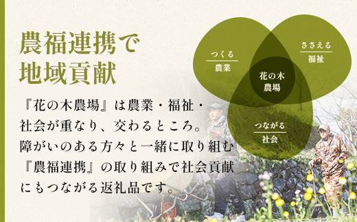【全12回定期便】厳選！花の木農場スペシャル定期便 HK-28│定期便 ハム ベーコン クラフトハム 人気 豚肉 しゃぶしゃぶ 豚しゃぶ スライス バラ ロース モモ 鍋 惣菜 おかず お弁当 肉 国産 ノウフク 農福連携 鹿児島県 南大隅町 第2花の木ファーム