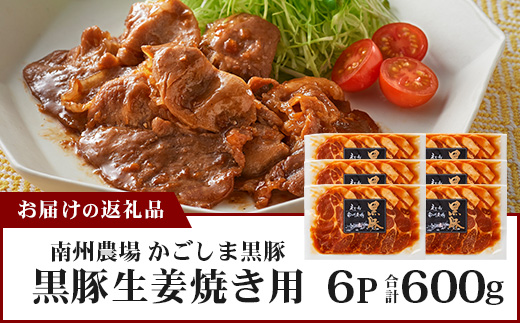 鹿児島県産 黒豚生姜焼きセット 100g×6枚 味付き肉 冷凍 NS-22 | 鹿児島 黒豚 かごしま黒豚 お肉 肉 豚肉 しょうが焼き 焼くだけ 味付き おかず お弁当 加工肉 真空パック 鹿児島県 南大隅町 南州農場