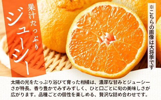 【数量限定】おたのしみ!旬の柑橘詰め合わせセット(4種約5kg) NK-4|果物 柑橘 大将季 ぽんかん スイートスプリング 津之輝 麗江 サワーポメロ 南大隅町 産地直送 詰め合わせ 5kg 国産 数量限定