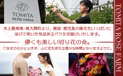 【先行予約】【人気の春・冬薔薇をお届け】ばら農家直送！バラ花束30本以上お届け(色はおまかせ) 【ギフト対応可】│ローズ 新鮮 花 フラワー 花束 ばら 薔薇 バラ 誕生日 記念日 結婚祝い ギフト プレゼント お祝い 贈り物 贈答 鹿児島県 南大隅町 富田バラ園 TB-16