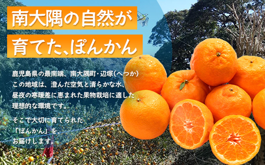 【先行予約・数量限定】南大隅の太陽浴びた甘くて・おいしい ぽんかん 5kg【2026年1月中旬以降順次発送】｜ぽんかん ポンカン 柑橘 甘い 果物 新鮮 産地 直送 先行予約 おすすめ 人気 南大隅町(ID-1)