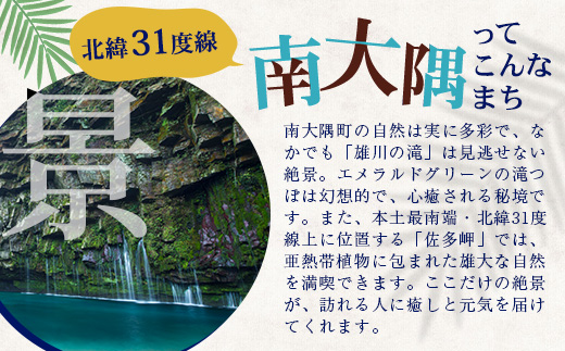 【返礼品なし】南大隅町への寄附　1口15,000円 MN-3
