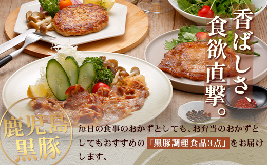 鹿児島県産 黒豚バラエティ詰合せ Bセット（ロース味噌漬け・生姜焼き・ハンバーグ）味付き 冷凍  NS-11❘ 加工肉 肉 お肉 豚肉 豚 にく ぶた かごしま黒豚 ロース肉 みそ漬け しょうが焼き ハンバーグ おかず ジューシー 小分け ギフト おかず お弁当 国産 鹿児島県 南大隅町 南州農場