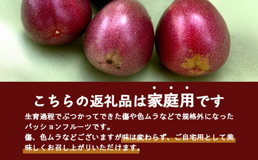 【2026年・先行予約】【訳あり品】家庭用パッションフルーツ1kg （約11～12個）濱田農園  ｜先行予約 産地直送 新鮮 パッション フルーツ 南大隅町 果物 果実 プレゼント濱田農園 家庭用 人気 南国フルーツ  HB-707