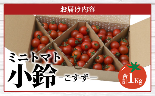 【先行予約】田淵さんちの美味しいミニトマト 小鈴（1.0kg）
