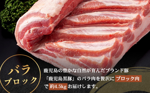［新春］≪全3回≫【南大隅町限定】 食べ応え満点 ！ ★ かごしま黒豚 ブロック肉 定期便 ★ 鹿児島県産 NS-26 ｜ 肉 豚肉 ぶた 豚 ブタ 黒豚 鹿児島黒豚 ロース ブロック バラ 肩ロース バラブロック 肩ロースブロック ファミリー 産地直送 肉定期便 鹿児島県 南大隅町 南州農場