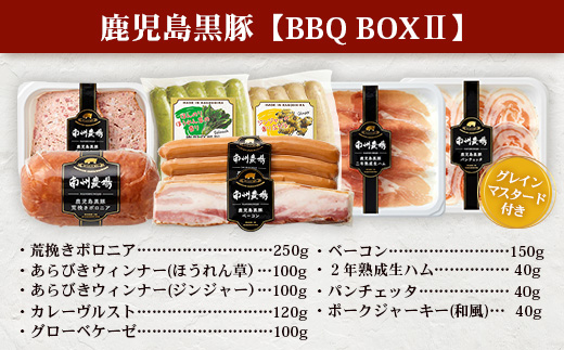 鹿児島県産 BBQ-BOX Ⅱ ハム ソーセージ ベーコン 詰め合わせ セット NS-25| かごしま 黒豚 生ハム ボロニア ウインナー ソース ジャーキー おつまみ バーベキュー 焼き肉 肉 肉汁 香ばしい 低添加製法 冷凍 鹿児島県 南大隅町 南州農場